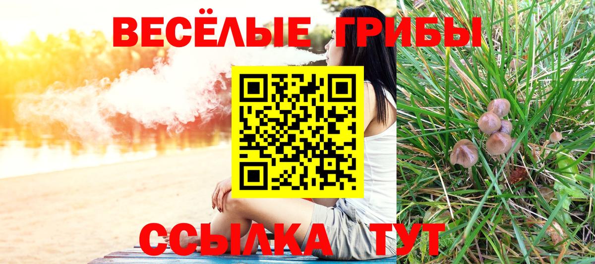 Псилоцибиновые грибы MAGIC MUSHROOMS  Галлюциногенные грибы Psilocybine cubensis  Вход с VPN  Тверь 